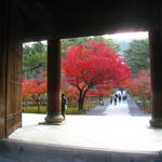 紅葉特集②　絶景かな絶景かな！蹴上・南禅寺【観光】