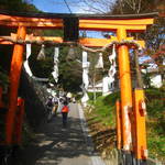 右京区　秋だ！京の料理人も集う愛宕山  【登山ノススメ】