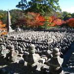 紅葉特集④　少し足をのばしてゆったり満喫！嵯峨野・化野念仏寺（あだしのねんぶつじ）　【観光】