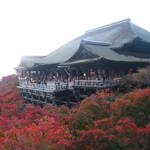 紅葉特集⑤　ライトアップも捨て難いがここはあえて早朝推し！清水五条・清水寺　【観光】