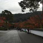【2015紅葉パトロール】自転車でぐるっと！「南禅寺」「永観堂」「安楽寺」（11/22時点）【まとめ】