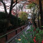 【2015紅葉パトロール③】自転車でぐるっと！「御土居」「光悦寺」「源光庵」「仁和寺」（11/22時点）【まとめ】