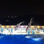 梅小路公園　7月30日限定の「京都水族館 サプライズナイトパーティー」に潜入！！