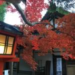 洛西　新古今和歌集でも歌われた、人も少なめの紅葉の穴場「大原野神社」　【紅葉】
