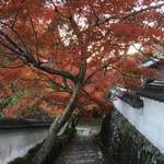 洛西　通称は「花の寺」　紅葉もきれいな「勝持寺（しょうじじ）」【紅葉】
