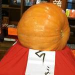 三条寺町　巨大かぼちゃが目印！師走の風物詩「矢田寺のかぼちゃ供養 」【イベント】