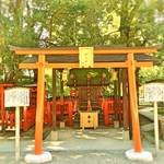 下鴨神社　縁結びの神様「相生社（あいおいのやしろ）」と「連理の賢木（れんりのさかき）」