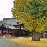 四条　なぜか落ち着く空間、お寺の中のCafe　D&DEPARTMENT KYOTO【和カフェ】