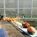 【恋する北山③】いちばんの賑わい。昼間の「北山ハロウィン」に行ってきた【イベント】