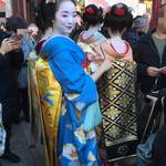 四条南座 舞妓Haaaaan!もズラリ！「吉例顔見世興行」始まる！！【歌舞伎】