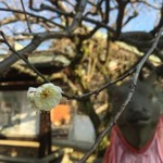 北野天満宮　学問の神様フル需要の初詣！【観光】