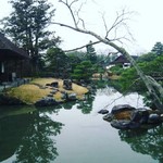 桂　意外と参観空きあり！古の皇族気分を味わってください「桂離宮」【日本庭園】