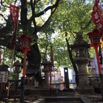 西大路八条　茂る楠に言い伝えあり！平清盛 ゆかりの「若一神社（にゃくいちじんじゃ）」に行ってきた【神社】
