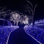 丹波　惜しまれつつも今年で最後だった「冬ほたる」をレポート♪【イルミネーション】
