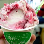 京都嵐山　実力派のジェラート店「新八茶屋」食べ歩きにピッタリ！