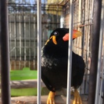 八幡市 「さくら公園内　子ども動物園」 お財布に優しく、かわいい動物が楽しめます♪