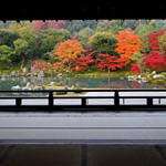 【世界遺産＊天龍寺】嵐山を借景とした庭園が四季折々の風景に染まる【まとめ】