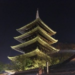 【春の風物詩】東山花灯路は17日まで！圧倒的な美しさ【ライトアップ】