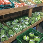 【農家さん直送】地元愛が詰まった農産物がいっぱい♪「朝採り市場」（松井山手）