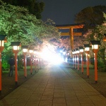 【夜桜】桜の名所「平野神社」で夜桜鑑賞が大盛り上がり！ドンチャン騒ぎ、しっぽり夜桜デート☆あなたならどう過ごす？