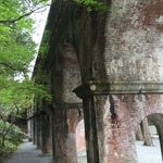 【南禅寺】ぶらり早朝散策☆桜から新緑へ！早くも初夏の気配を集めてみました