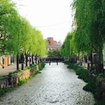 柳並木ゆらりぶらり！京都らしい風情あふれる白川名橋めぐり【東山三条】