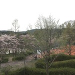 加茂町散策の休憩にピッタリ！町民の”憩いの場”。「塚穴公園」テニスコートもあるよ。