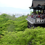 新緑もオススメ！【絶景】緑あふれる「清水寺」