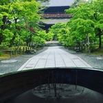 【南禅寺】ぶらり早朝散策☆すっかり緑一色！新緑のエネルギーチャージに行くべき！！【観光】