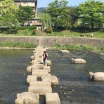童心に帰ってしまう。見るとなんだか渡りたくなる「鴨川　荒神口周辺の飛び石」