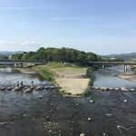 京都を代表する癒しスポット！まったりしておくれやす「鴨川デルタ」