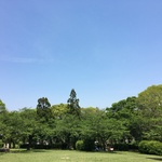 生命力溢れる新緑が美しい「八幡市のさくら公園」春はさくらがきれいな穴場です。