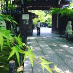 紅葉の名所は新緑の名所でもあり！高濃度な緑の世界が広がる☆「永観堂」【観光】