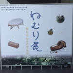【京都大学総合博物館】今注目の特別展！眠りについて考える「ねむり展 眠れるものの文化誌」に行ってきました！