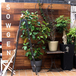 富小路通錦上ル＊北白川の人気カフェの2店舗目がオープン「SOWGEN（ソウゲン） antiques-plants-cafe&bar」【開店】