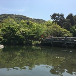 京都市で最も古い公園！春はもちろん四季を問わず風情がある「祇園　円山公園」