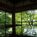 SNSで話題沸騰～！緑色の海のような "美しすぎる青紅葉"「京都　瑠璃光院（るりこういん」）
