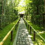 竹林、青紅葉、苔に覆われたどこまでも続く緑色の世界に、身も心も癒されました「高桐院」