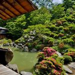 紫陽花の見頃が間近！東山随一の庭は必見！「智積院（ちしゃくいん）」＠東山七条
