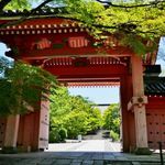 若葉の緑を大満喫！無料でまったり青もみじが堪能できる「真如堂（真正極楽寺）」