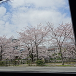満開の桜を眺めながら、ちょっとづつ色々なお料理が楽しめちゃうランチ♪「カフェ メメントモリ」