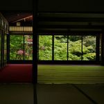 新緑が映える本堂！睡蓮がまさに見頃の「天授庵（南禅寺塔頭）」