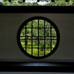 祇園の中心地、建仁寺両足院の特別拝観で半夏生（はんげしょう）を堪能！