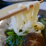 暑い日はツルツル～！っとさっぱりとした冷たいうどんがいいですね～♪紫野の「一麦七菜」