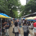 【北野天満宮】毎月25日開催！初心者も楽しめる元祖京都骨董市「天神市」に行ってきました☆