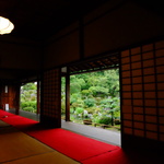 【穴場】梅雨を涼しく過ごそう！半夏生の咲く足利家の菩提寺【等持院】