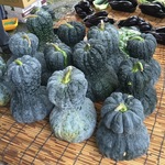 【京都夏の風物詩】毎年恒例鹿ヶ谷かぼちゃ供養！京野菜・鹿ケ谷カボチャを食べて中風まじない【鹿ヶ谷・安楽寺】