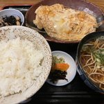 唸るほど美味しいカツとじ！ビジネス街の隠れ家「めん房 やまもと」【四条烏丸】
