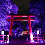 世界遺産 下鴨神社が神秘的な光の空間に！「下鴨神社　糺の森の光の祭」