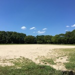 ミニリュウやゼニガメも出現！新撰組ゆかりの地は穴場ポケモンスポット！「鳥羽離宮跡公園」